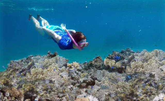 Scuba Diving in Fiji