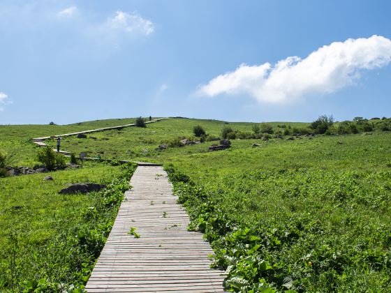 Lishan Mountain Wangping Scenic Area