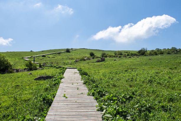 Lishan Mountain Wangping Scenic Area