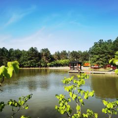 金三和生态农庄 User Photo