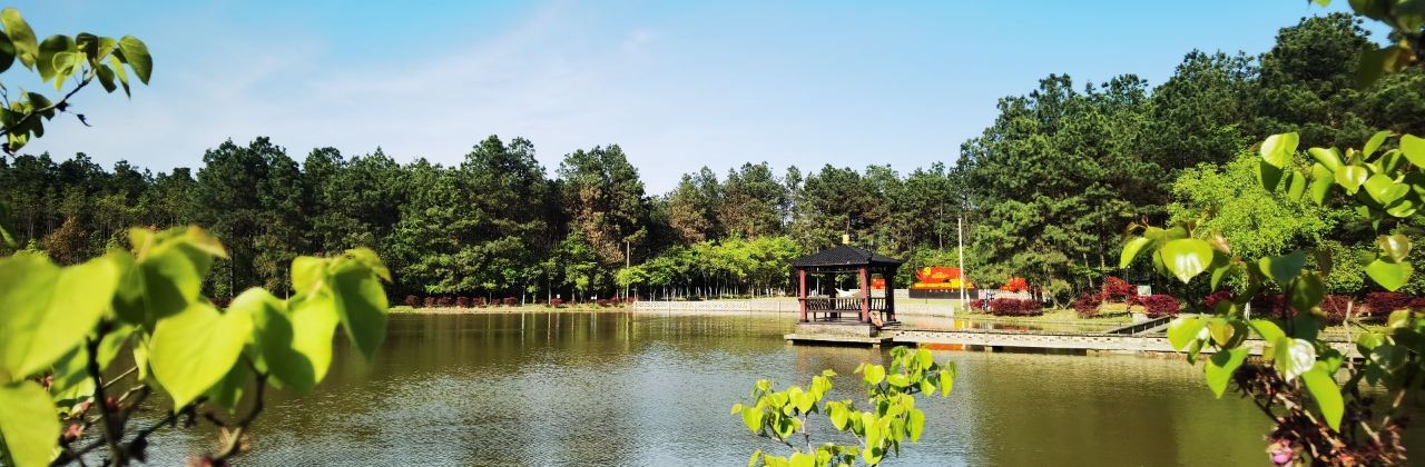 金三和生态农庄