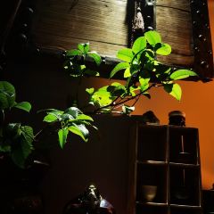 隐子茶舍 User Photo