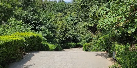 渭水之央槐泉濕地公園