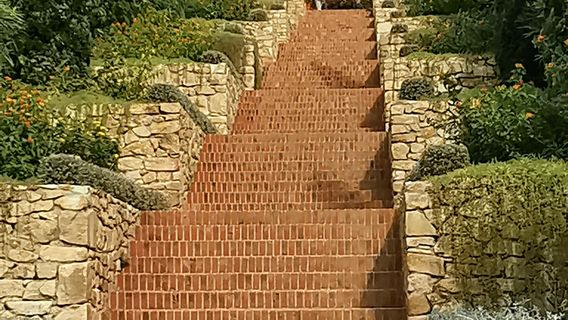 Ботанические сады