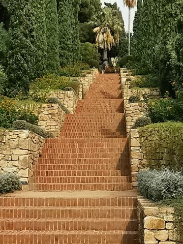 Botanical Garden