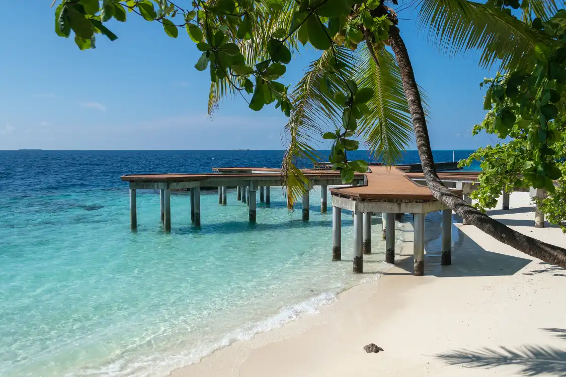 Các khách sạn gần Fihalhohi Island Resort