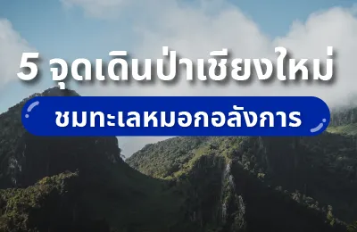 5 ที่เดินป่าเชียงใหม่ วิวสวยสุดประทับใจ ทะเลหมอกอลังการ 