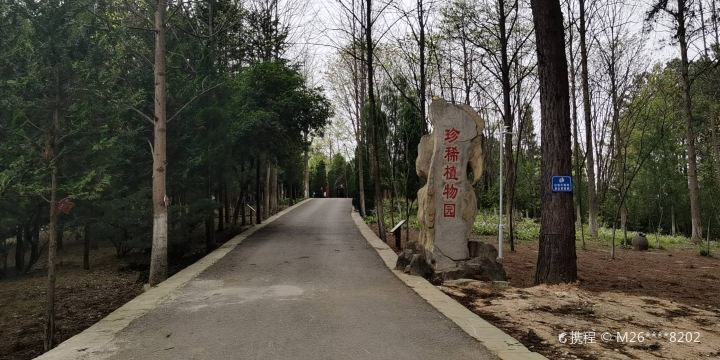 Guizhou Central Aisa Tropical Plateau Rare Botanical Garden