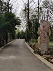 省中亜熱帯高原珍稀植物園