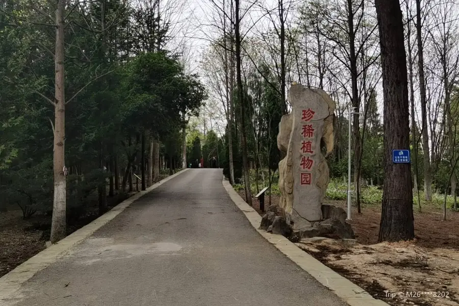 Guizhou Central Aisa Tropical Plateau Rare Botanical Garden
