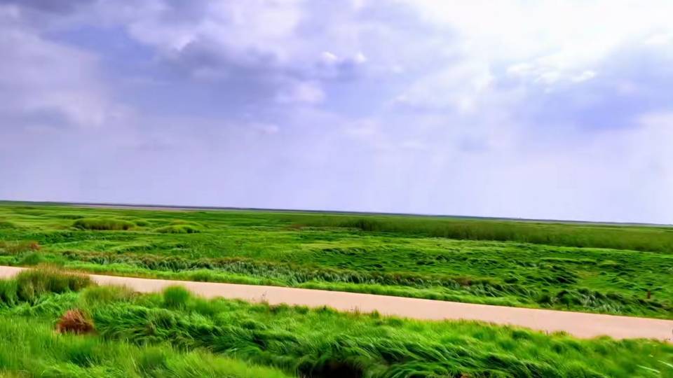 Wunian Island, Poyang Lake Prairie Scenic Area
