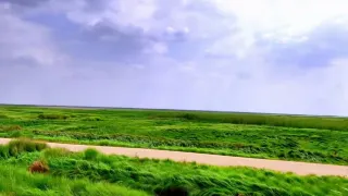Wunian Island, Poyang Lake Prairie Scenic Area