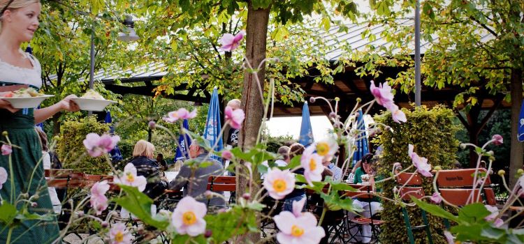 Alte Galerie/Biergarten