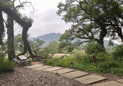 Guzhanglin Sceneic Area