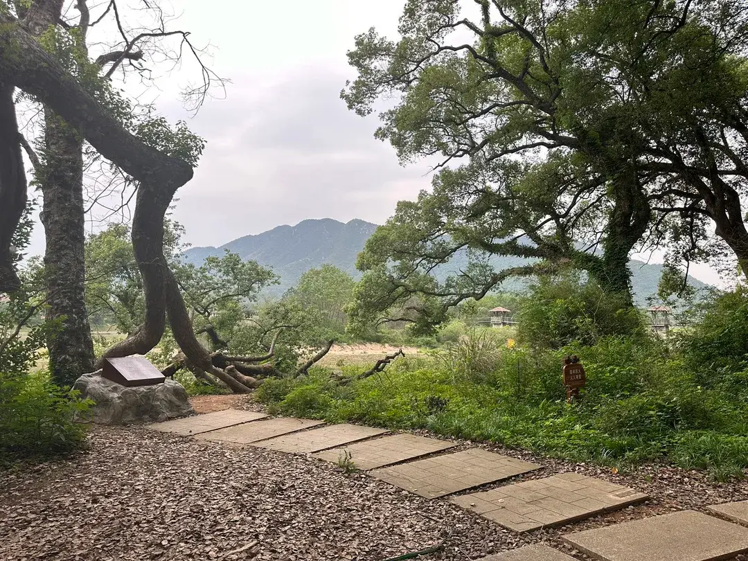 2_Guzhanglin Sceneic Area