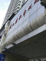 湖南省歌舞劇院