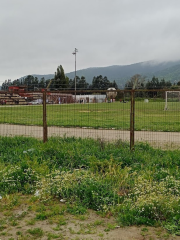 Municipal Stadium Angel Navarrete Candia