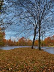 Binder State Park