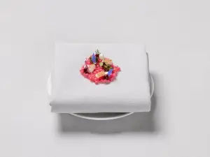 Top 14 Fine Dining in Basel