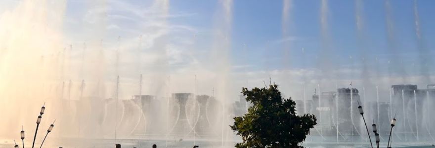 Arrows and Sparrows Cafe UZ