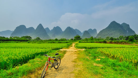Yangshuo Cycling