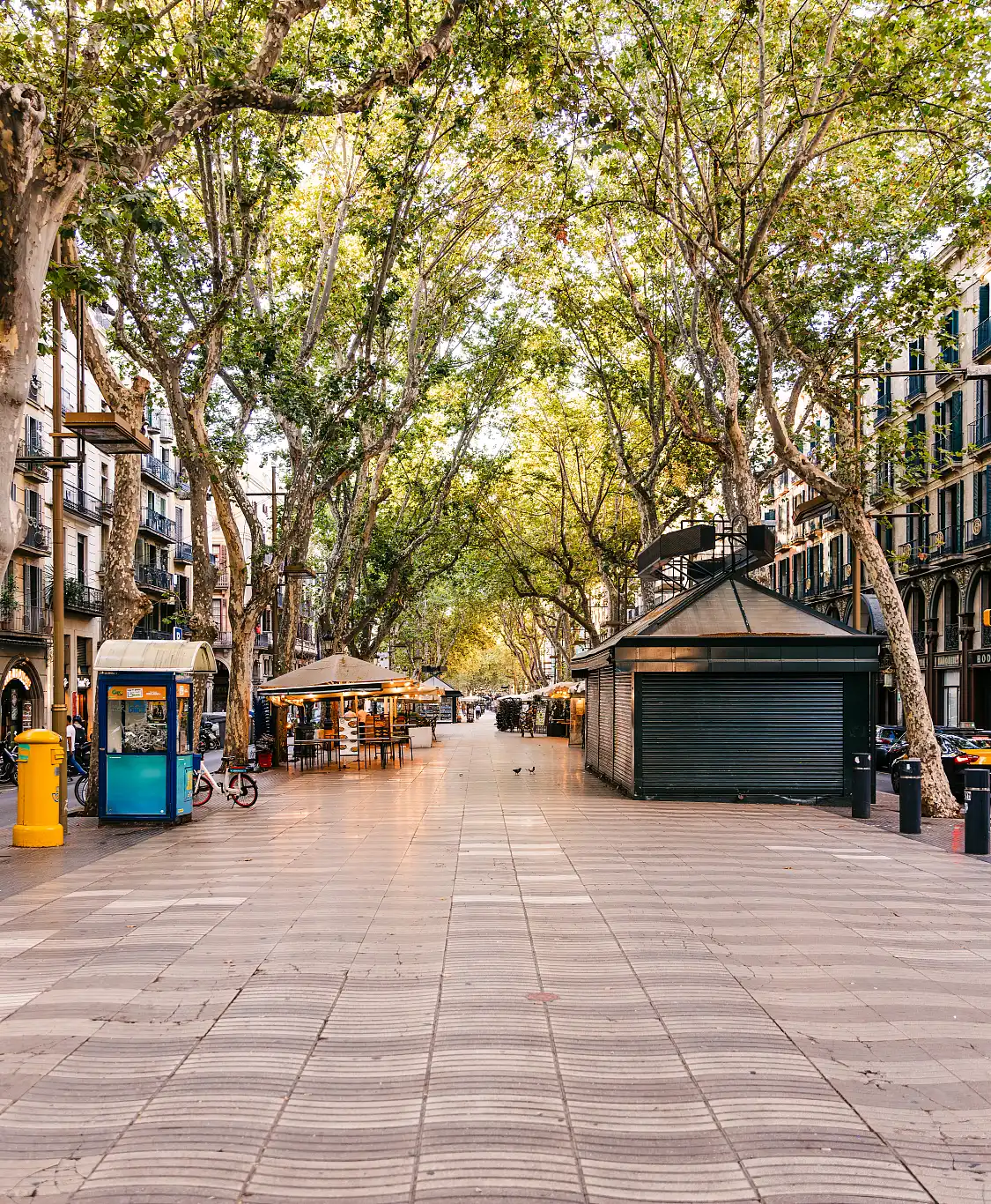 Hotel in zona Las Ramblas