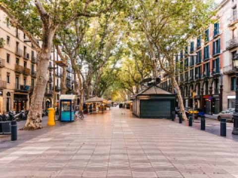 Vuelos Basilea Barcelona Vueling Airlines