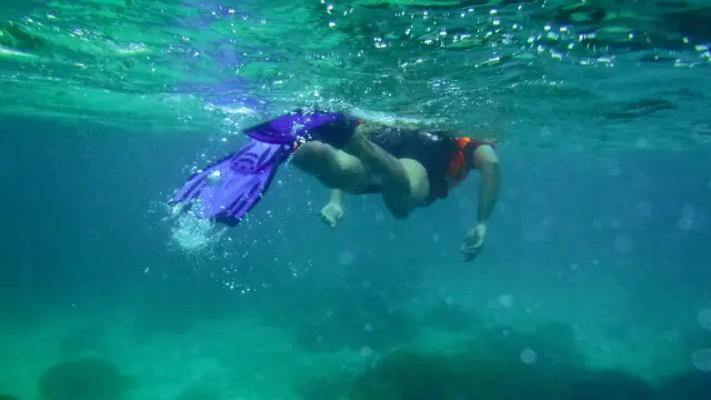 Kota Kinabalu Diving