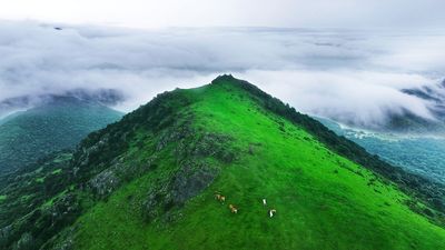 Damu Mountain