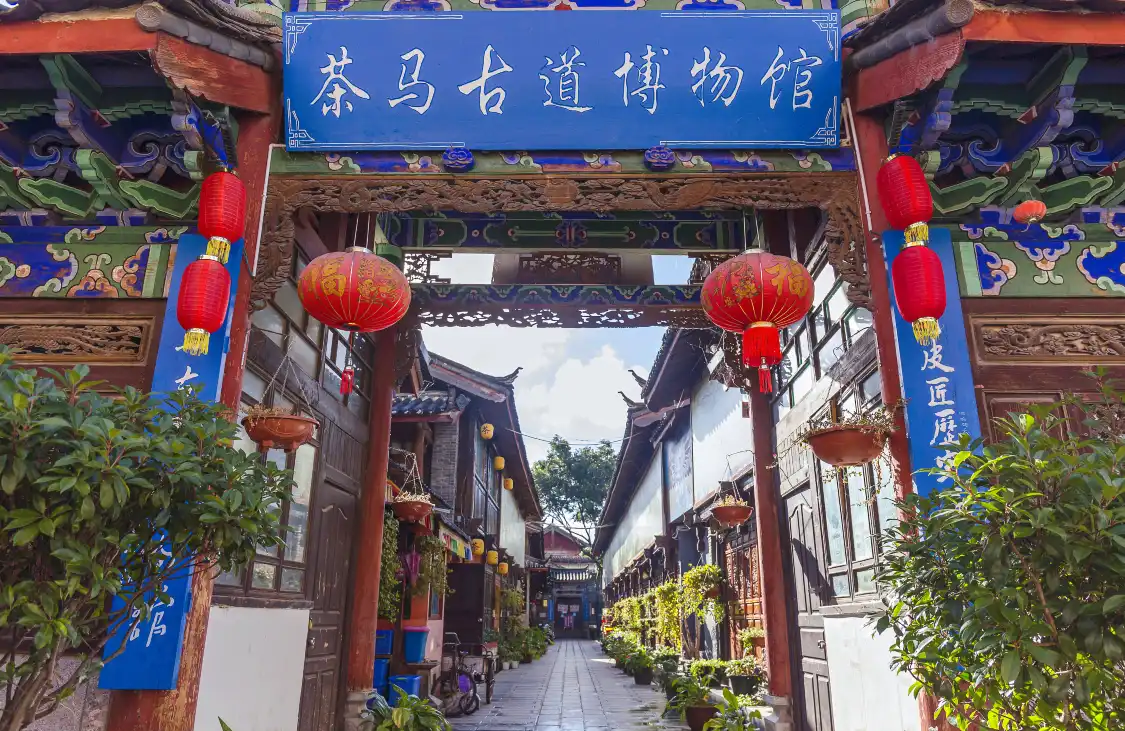 Hotel berhampiran Ancient Tea Horse Road Museum