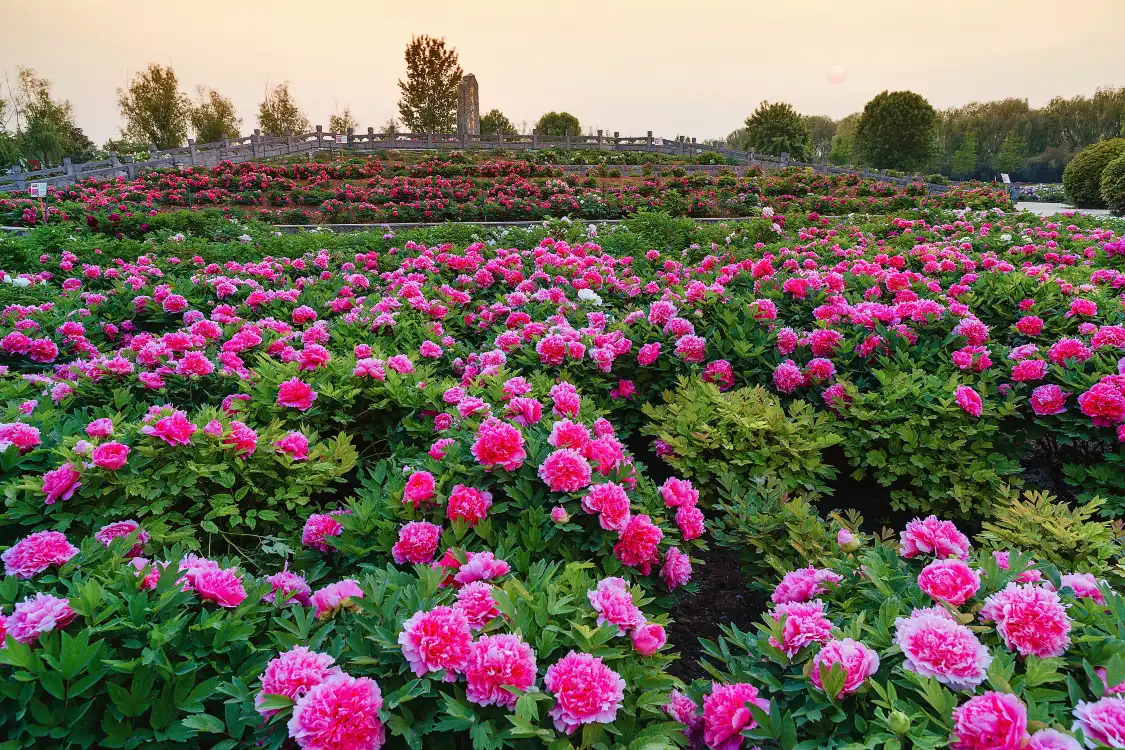 선저우무단위안 주변 호텔