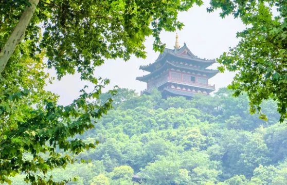 雲台閣門票優待（小童／學生／長者票）