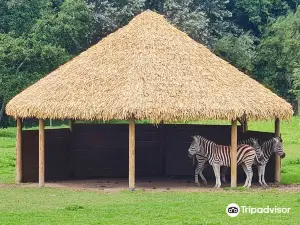 Newquay Zoo