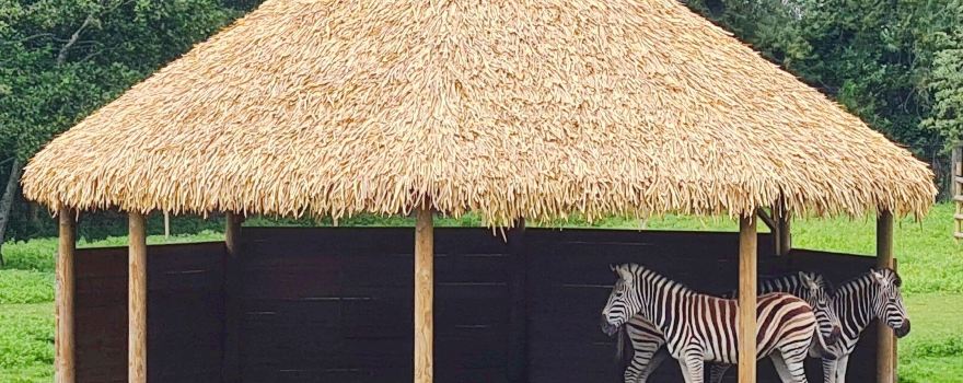 Newquay Zoo