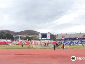 Estadio Carlos Vega Villalba