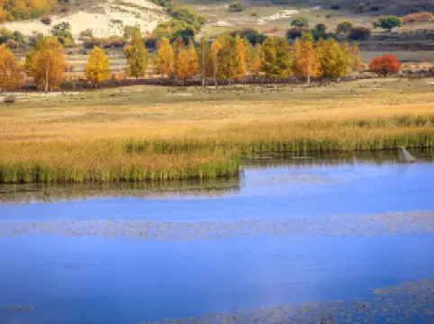御道口草原森林風景區