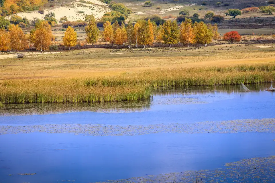 1_Yu Daokou Grassland And Forest Scenic Spot