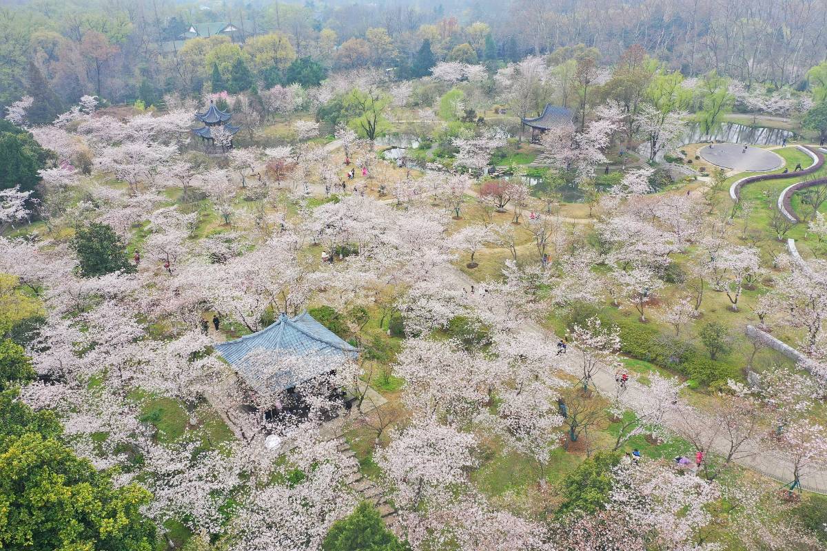 明孝陵観光のコツと注意点