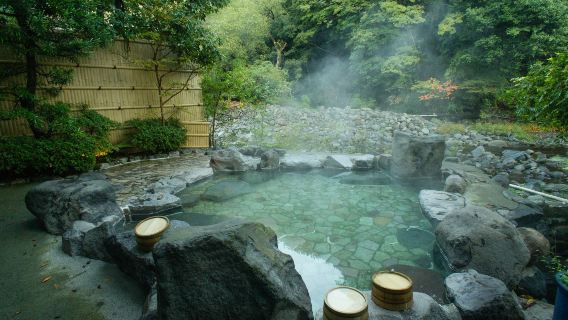 Hot Springs in Hakone