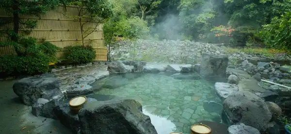 Indigo Properties in Hakone