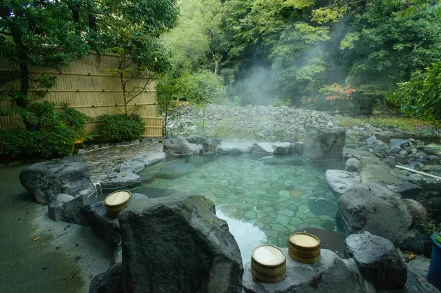 Hot Springs in Hakone