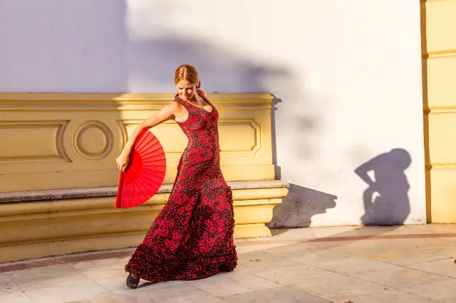 Flamenco Performances in Sevilla