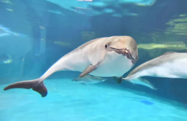 5_おたる水族館