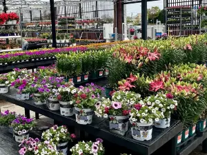 Walmart Garden Center
