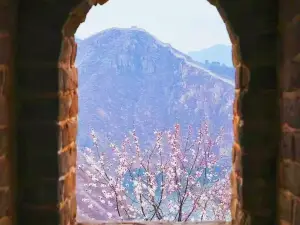 황화성 수장성