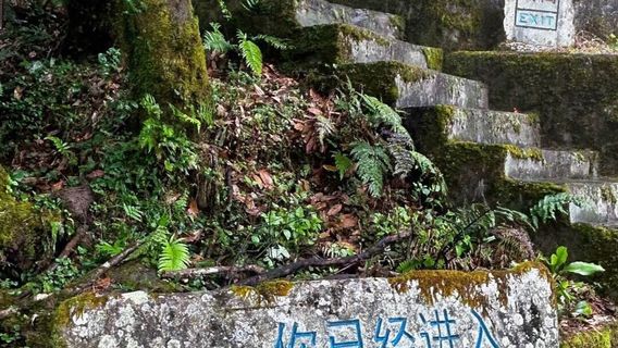 ai lao shan chong gu