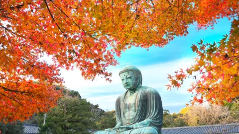 Kotoku-in attraction in Kamakura