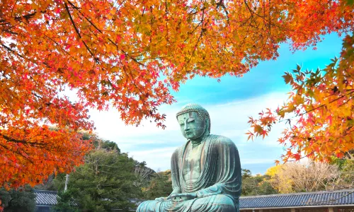 Kotoku-in