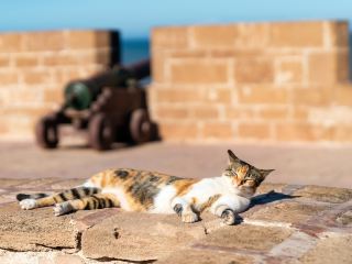 billet d'avion Rabat Essaouira