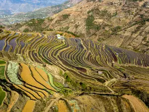 Miyi Lisu Terraced Fields Scenic Area